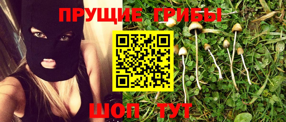 Десногорск  Галлюциногенные грибы мицелий  Вход с VPN 