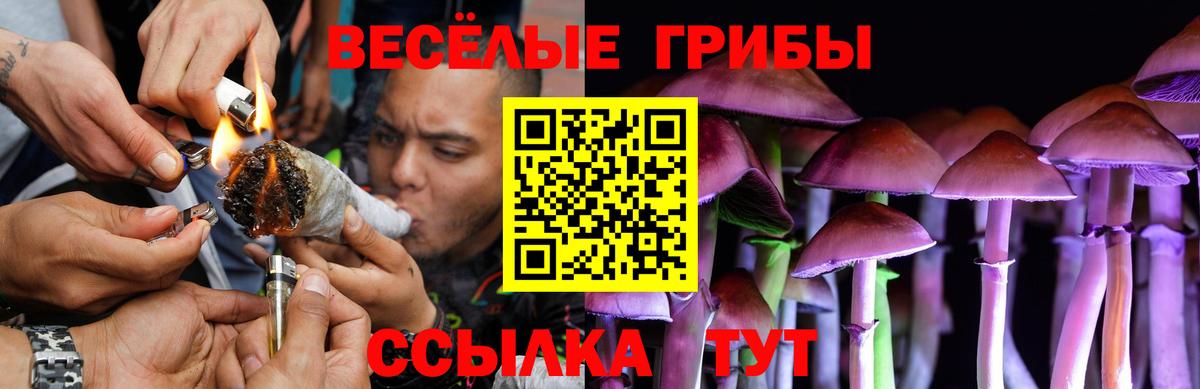Псилоцибиновые грибы Cubensis Десногорск
